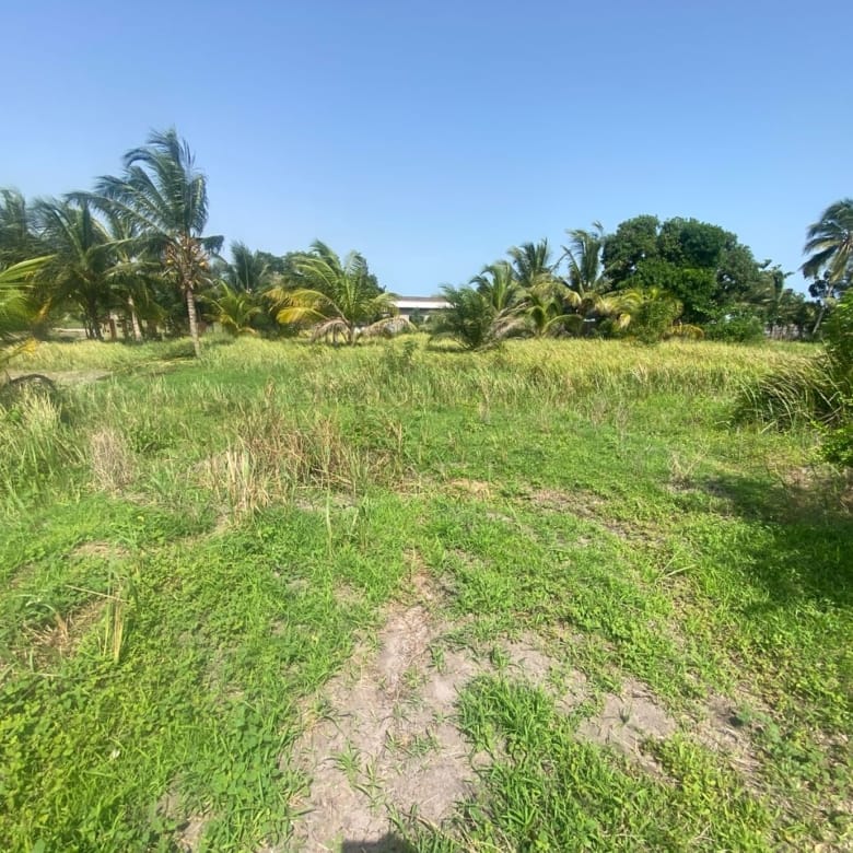 Domaine en Bord de Lagune à Vendre à Avlékété_3