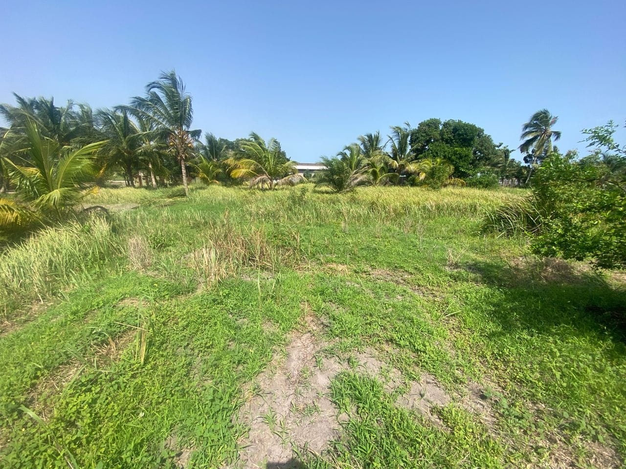 Domaine en Bord de Lagune à Vendre à Avlékété_3