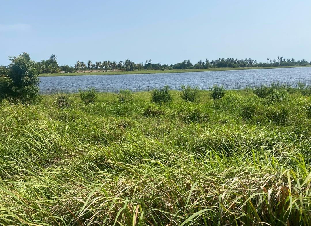 Domaine en Bord de Lagune à Vendre à Avlékété_4