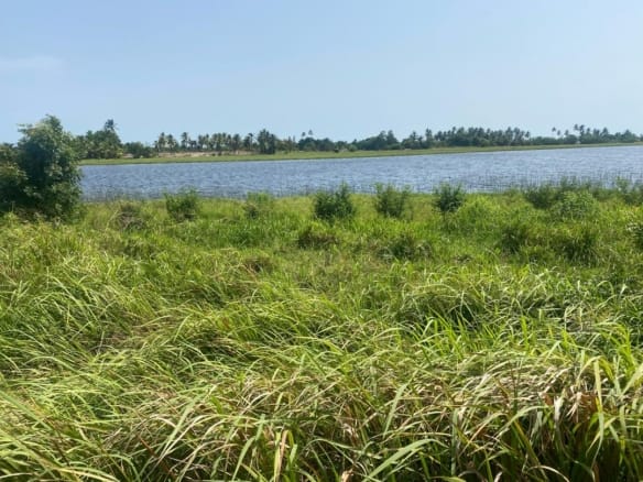 Domaine en Bord de Lagune à Vendre à Avlékété_4