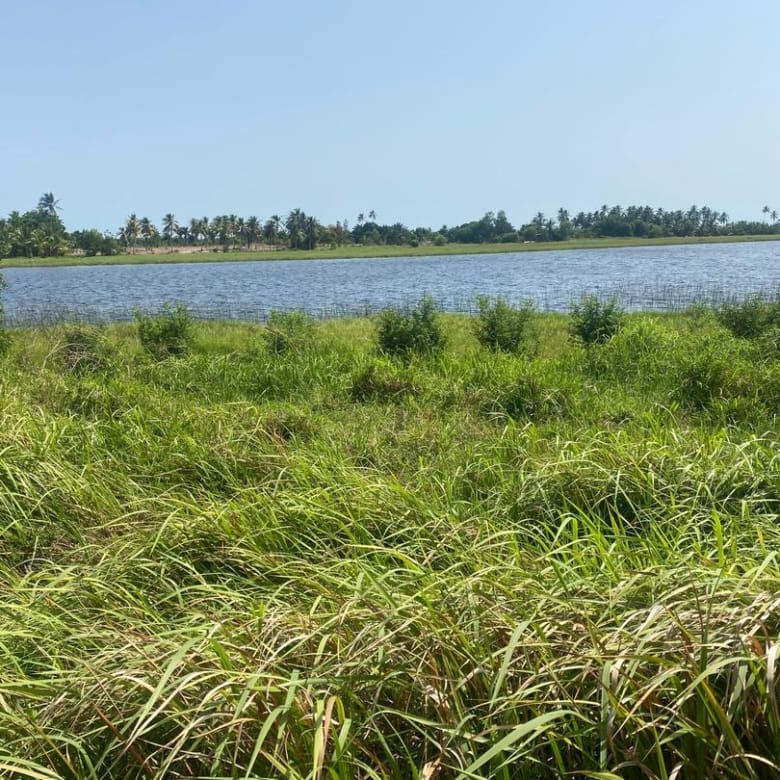 Domaine en Bord de Lagune à Vendre à Avlékété_4