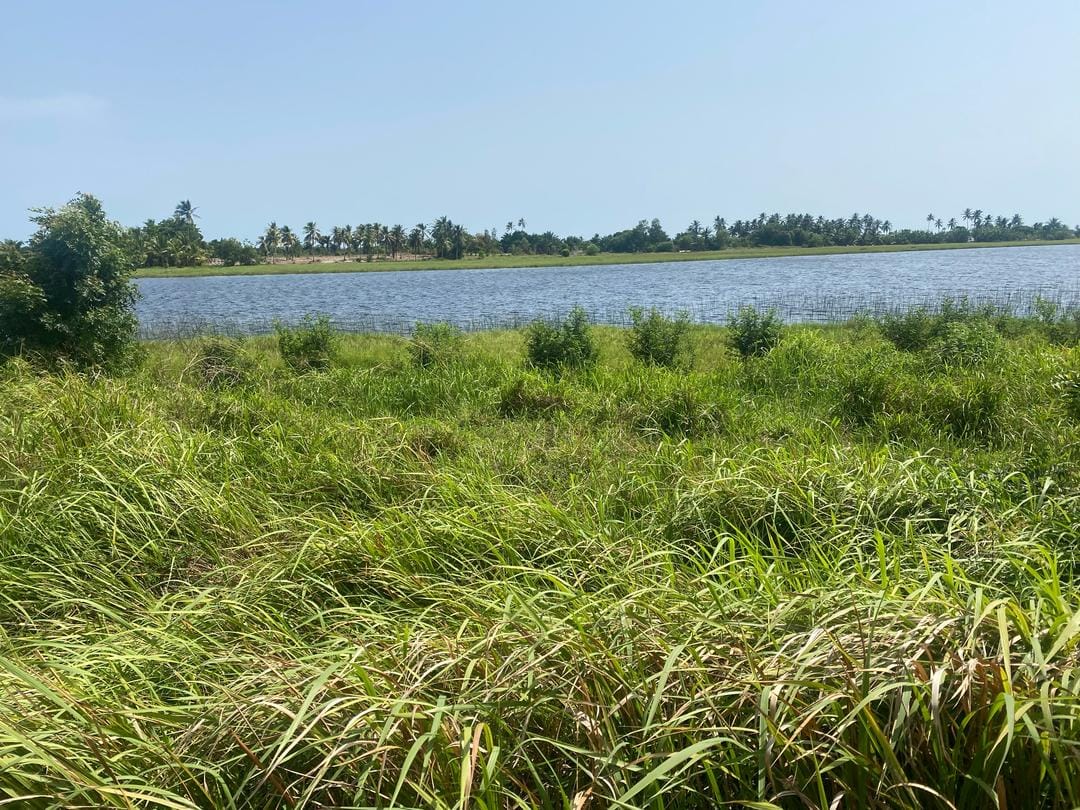 Domaine en Bord de Lagune à Vendre à Avlékété_4