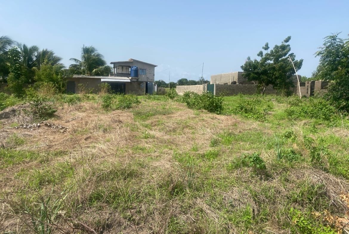 Domaine en Bord de Lagune à Vendre à Avlékété_5