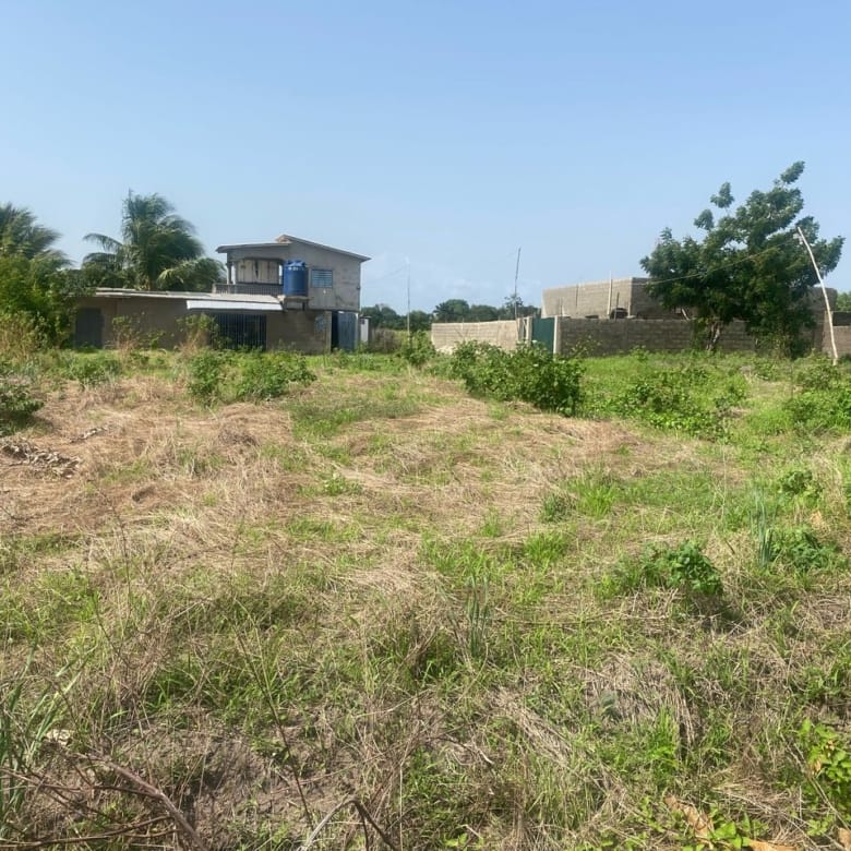 Domaine en Bord de Lagune à Vendre à Avlékété_5