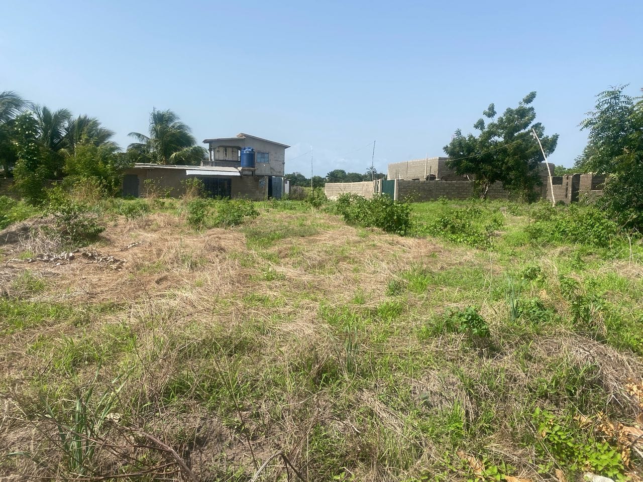 Domaine en Bord de Lagune à Vendre à Avlékété_5