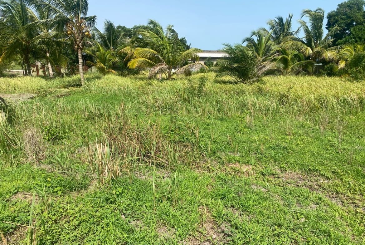 Domaine en Bord de Lagune à Vendre à Avlékété_6