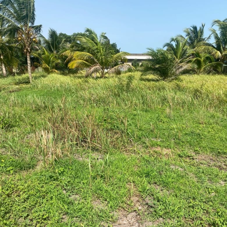 Domaine en Bord de Lagune à Vendre à Avlékété_6