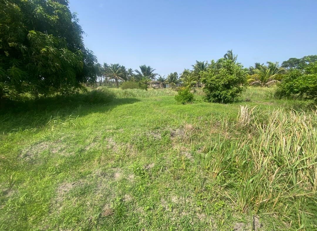 Domaine en Bord de Lagune à Vendre à Avlékété_9