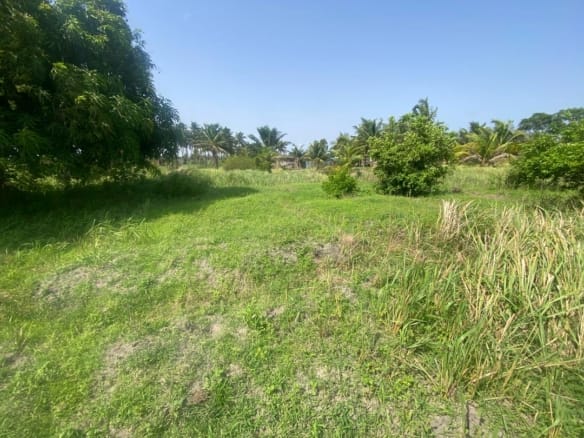 Domaine en Bord de Lagune à Vendre à Avlékété_9