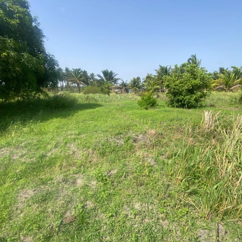 Domaine en Bord de Lagune à Vendre à Avlékété_9
