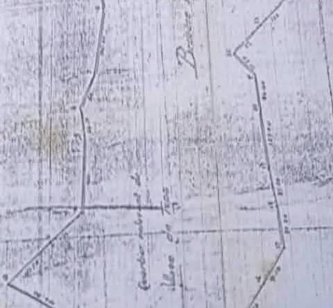 43 hectares à vendre à Allada Avakpa