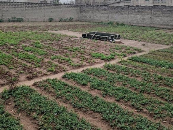 Deux parcelles à vendre à Fidjrossè Plage – 655 m² face à la mer_2