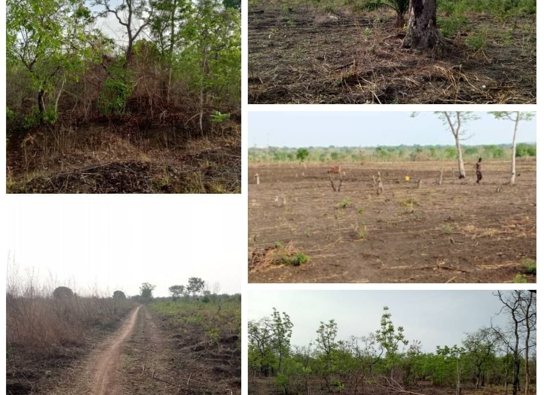 Domaine Agricole de 168 ha à Vendre à Djidja (Setto)