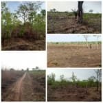 Domaine Agricole de 168 ha à Vendre à Djidja (Setto)