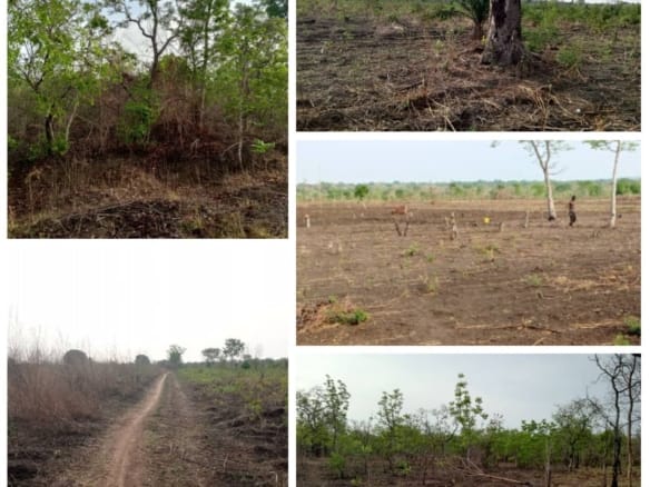 Domaine Agricole de 168 ha à Vendre à Djidja (Setto)