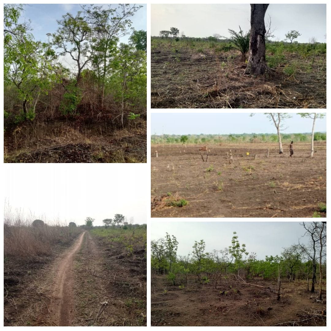 Domaine Agricole de 168 ha à Vendre à Djidja (Setto)