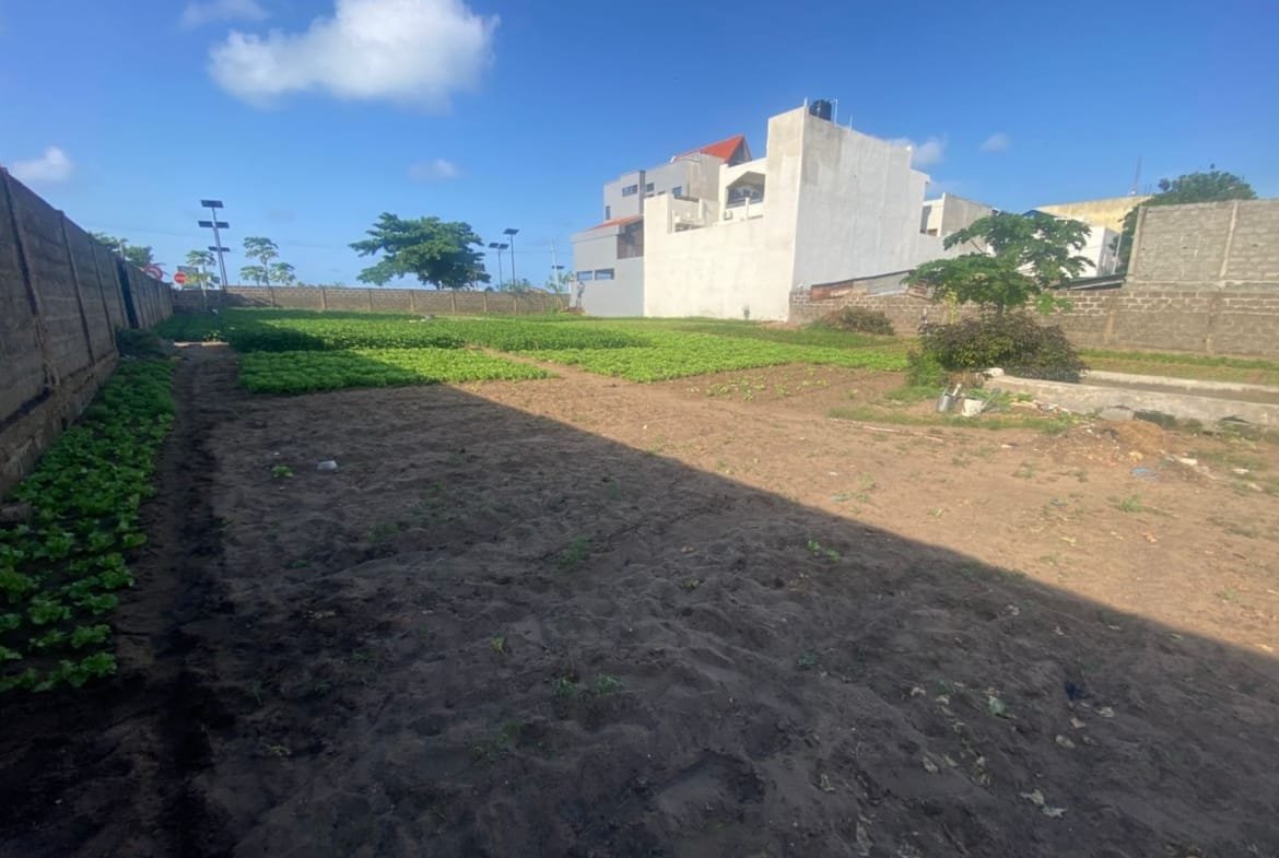 Domaine de 2000 m² à vendre à Fidjrossè Plage