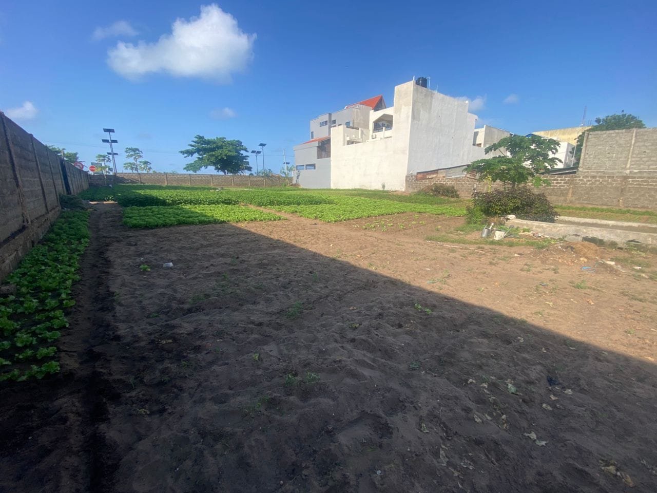 Domaine de 2000 m² à vendre à Fidjrossè Plage