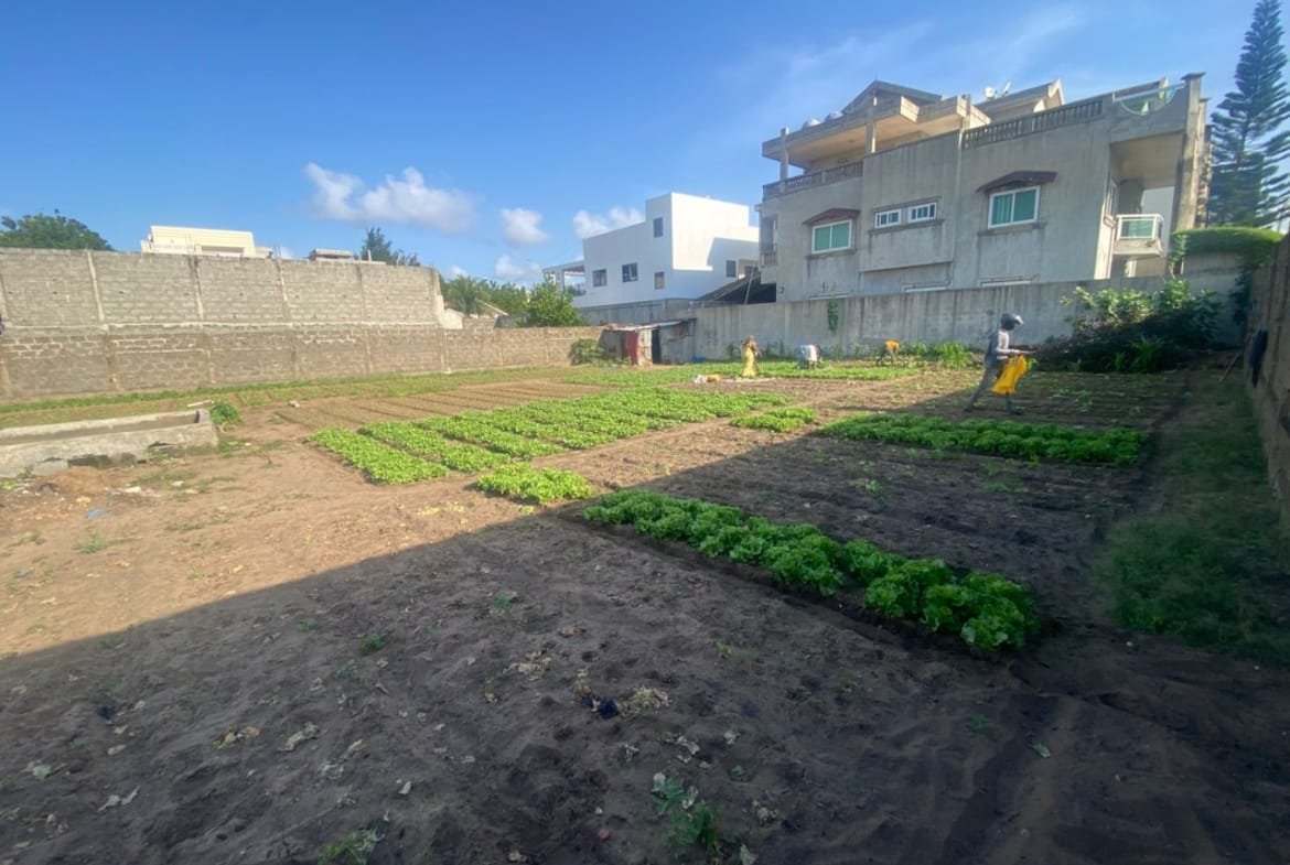 Domaine de 2000 m² à vendre à Fidjrossè Plage