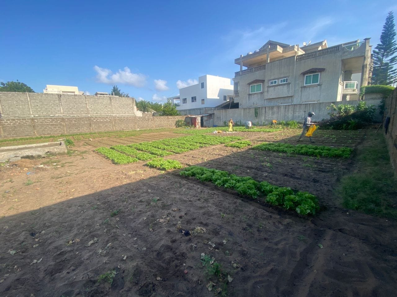 Domaine de 2000 m² à vendre à Fidjrossè Plage