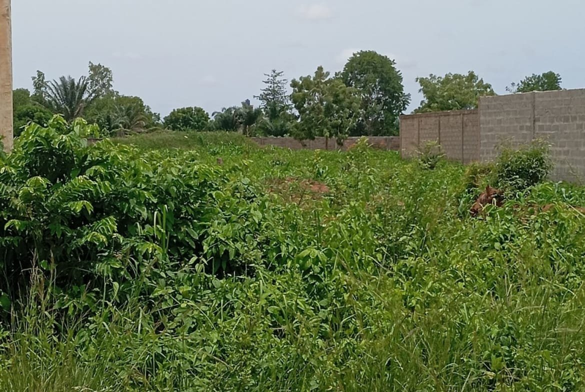 16 Parcelles à vendre à Ahoussougbéta avec Titre Foncier - BENIN-IMMO