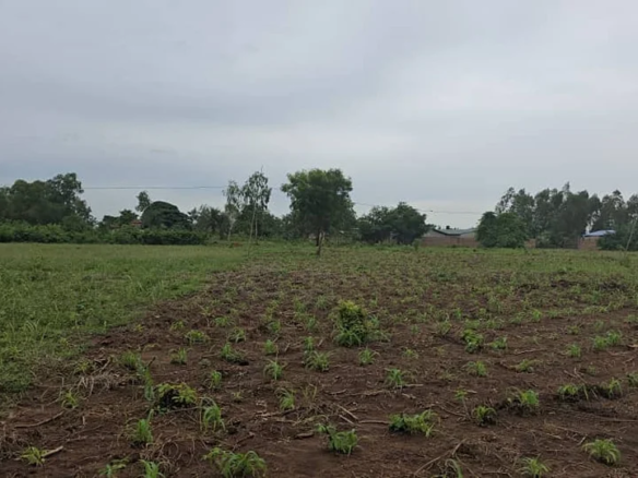 Parcelles à vendre avec titre foncier à Calavi Hêvié_2