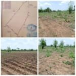 Terrain agricole 4 ha à vendre à Zogbodomey (Massi)