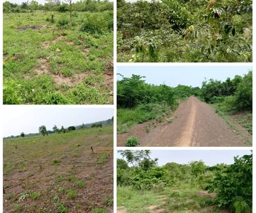 Terrain Agricole de 2 Hectares à Vendre à Sodohomey