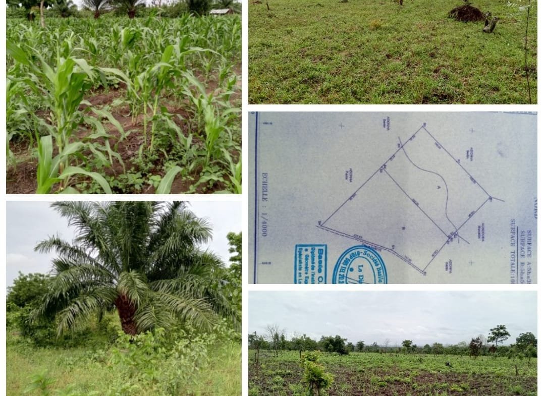 Vente domaine agricole de 22 ha à Kpakpamè