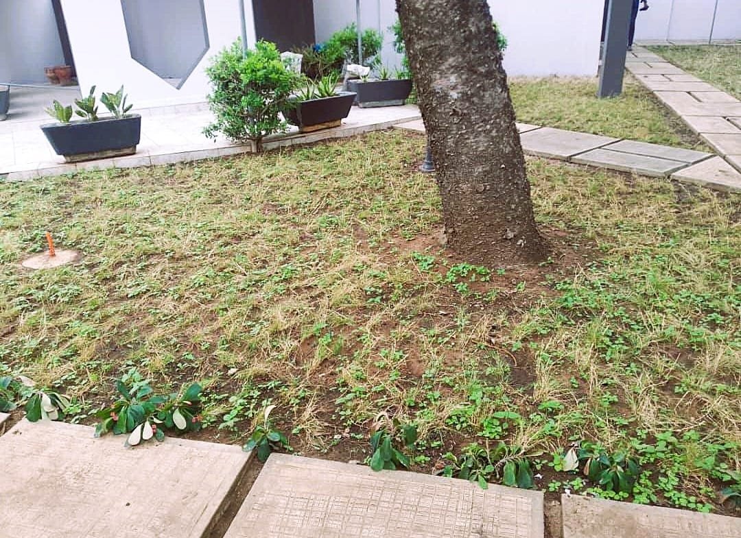 Villa duplex 4 chambres avec jardin à louer à Fidjrossè - BENIN-IMMO