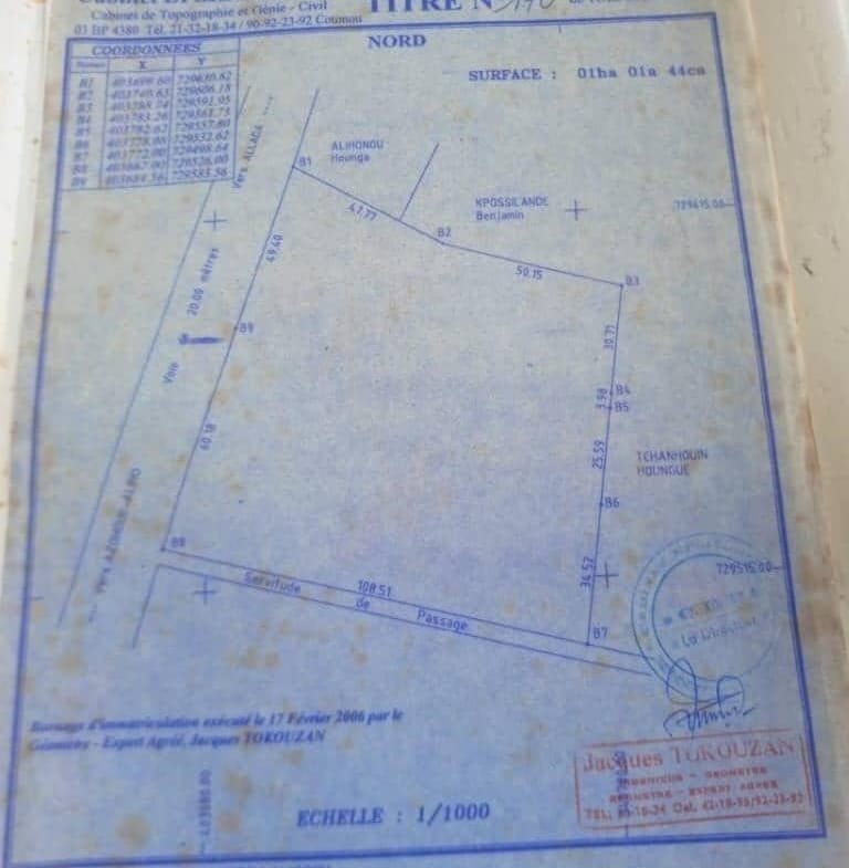 Terrain d’un hectare au bord du goudron à vendre à Tori avec TF - BENIN-IMMO
