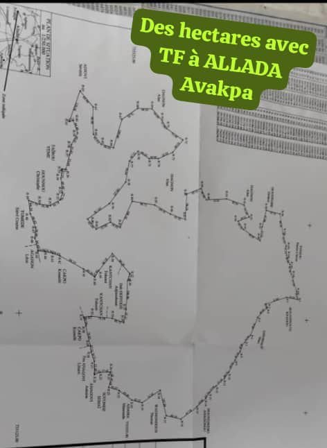 17 Hectares avec Titre Foncier à vendre à Allada Avakpa