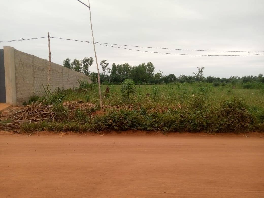 Parcelle 3000 m² avec TF à vendre à Glo-Djigbé