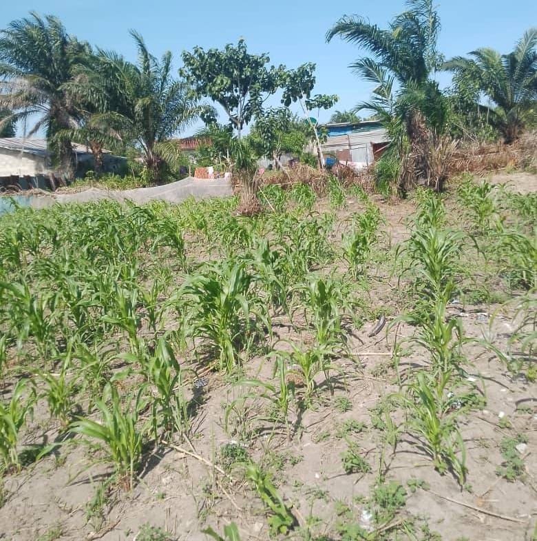 Parcelle de 320 m² à vendre à Pahou – Ouidah