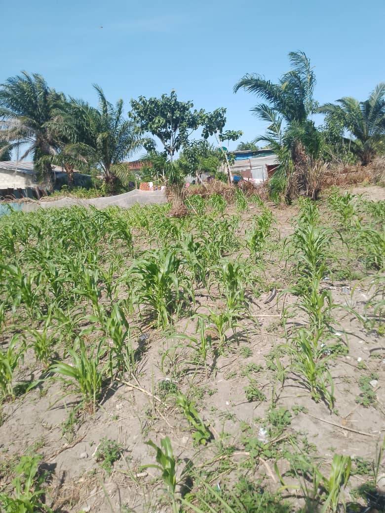 Parcelle de 320 m² à vendre à Pahou – Ouidah