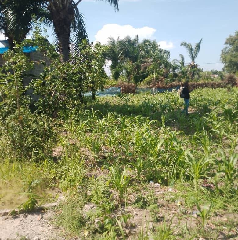 Parcelle de 320 m² à vendre à Pahou – Ouidah - BENIN-IMMO