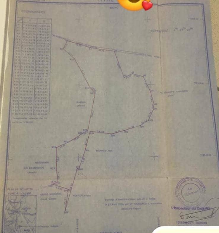 Un hectare avec titre foncier à Calavi Ouèdo - BENIN-IMMO