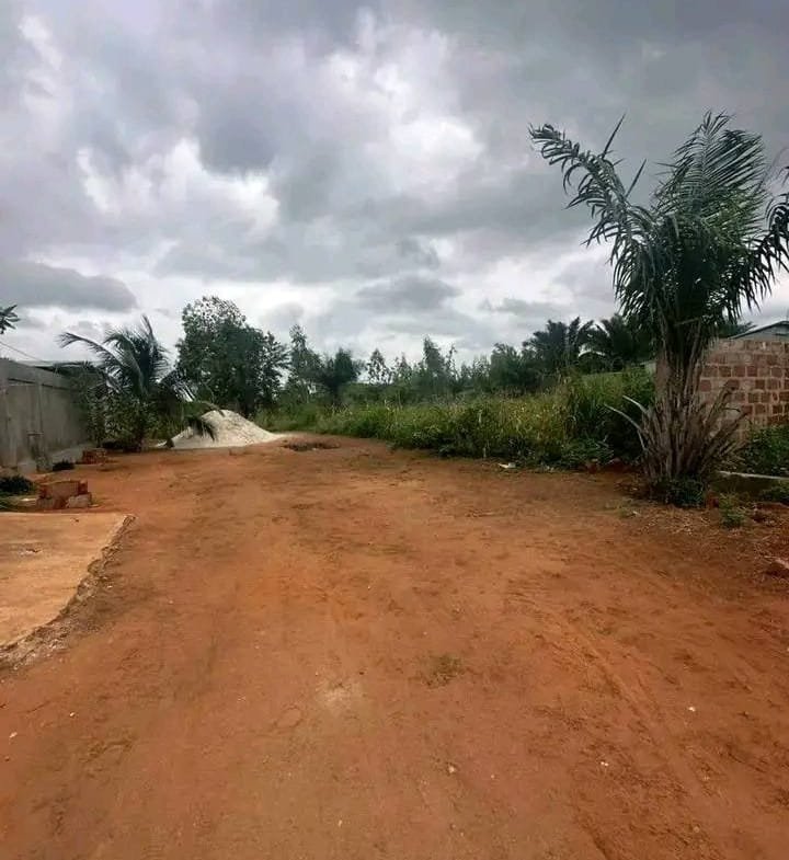 2 Parcelles recasées à vendre à Tori-Bossito - BENIN-IMMO