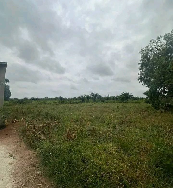 2 Parcelles recasées à vendre à Tori-Bossito - BENIN-IMMO