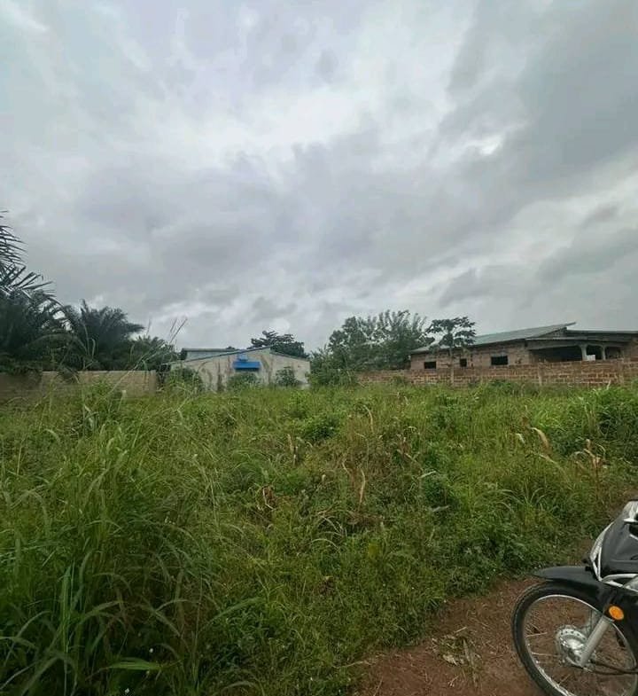 2 Parcelles recasées à vendre à Tori-Bossito - BENIN-IMMO