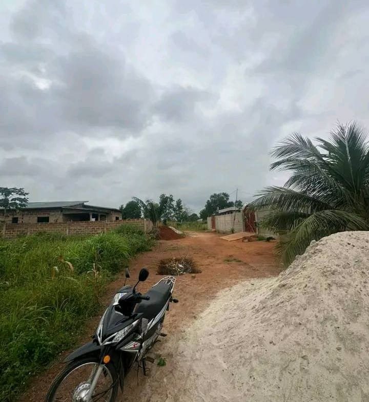 2 Parcelles recasées à vendre à Tori-Bossito - BENIN-IMMO