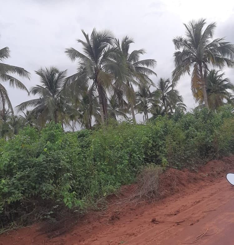 Terrain clôturé de 1000 m² à Adjagbo, Cité Air Afrique. - BENIN-IMMO