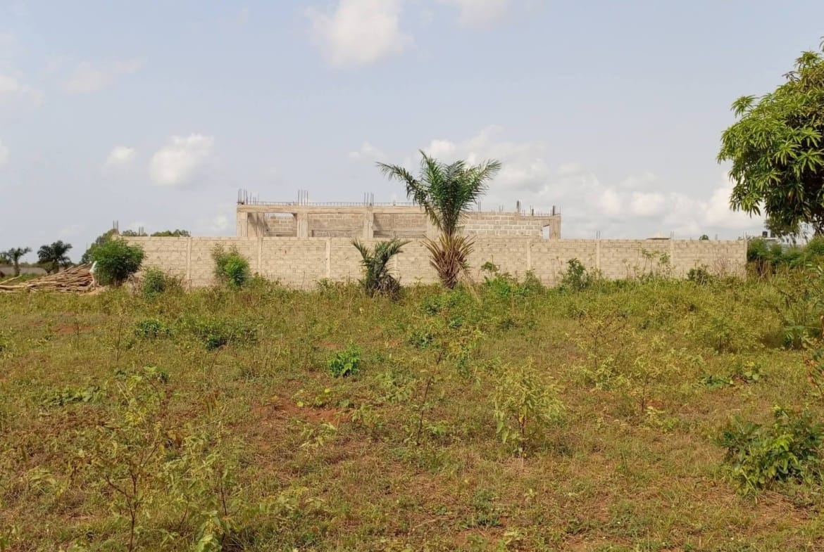 Parcelle de 600 m² avec Titre Foncier personnel à vendre à Calavi Ouèdo La Verdure, proche du goudron, zone sécurisée et viabilisée.