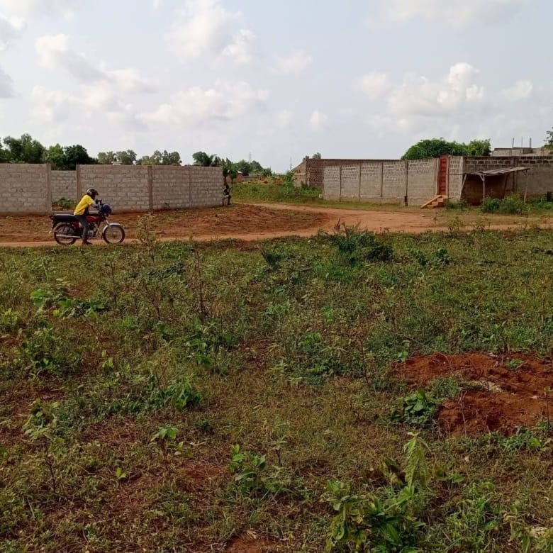 Grande parcelle de 600 m² avec Titre Foncier à vendre à Calavi Ouèdo - BENIN-IMMO