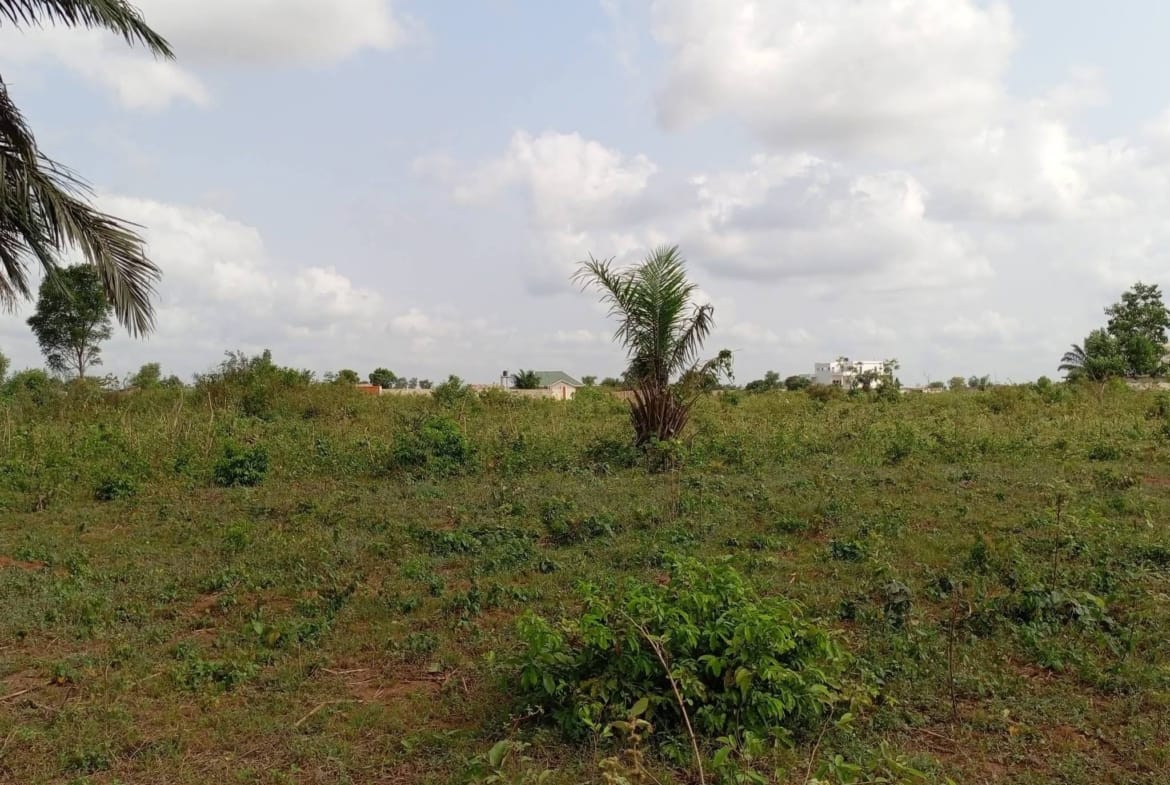 Grande parcelle de 600 m² avec Titre Foncier à vendre à Calavi Ouèdo - BENIN-IMMO