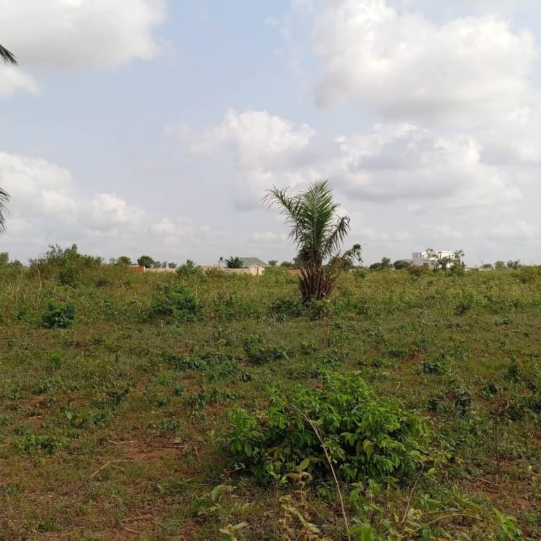 Grande parcelle de 600 m² avec Titre Foncier à vendre à Calavi Ouèdo - BENIN-IMMO