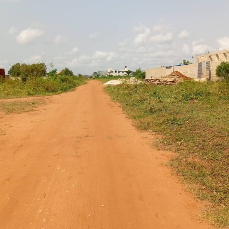 Grande parcelle de 600 m² avec Titre Foncier à vendre à Calavi Ouèdo - BENIN-IMMO