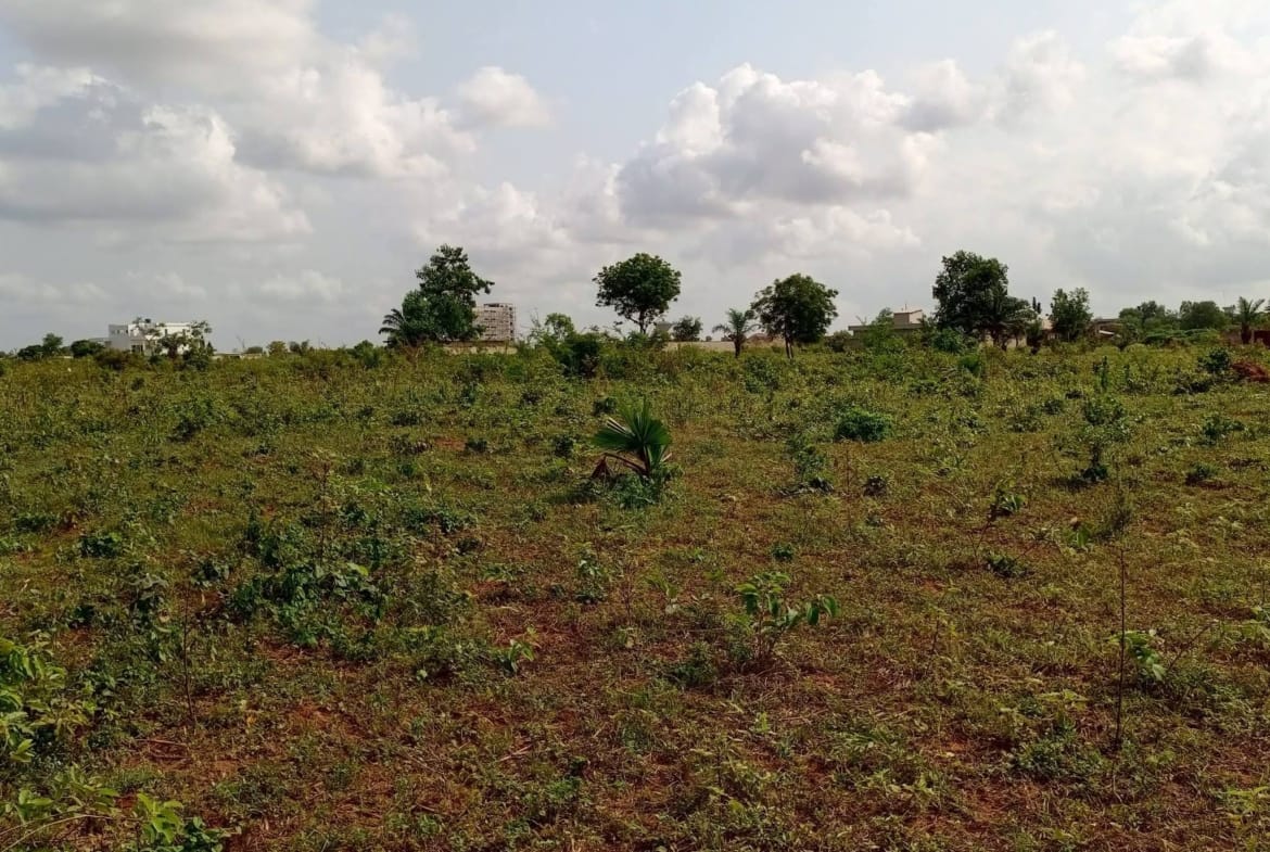 Grande parcelle de 600 m² avec Titre Foncier à vendre à Calavi Ouèdo - BENIN-IMMO
