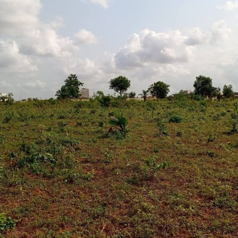 Grande parcelle de 600 m² avec Titre Foncier à vendre à Calavi Ouèdo - BENIN-IMMO