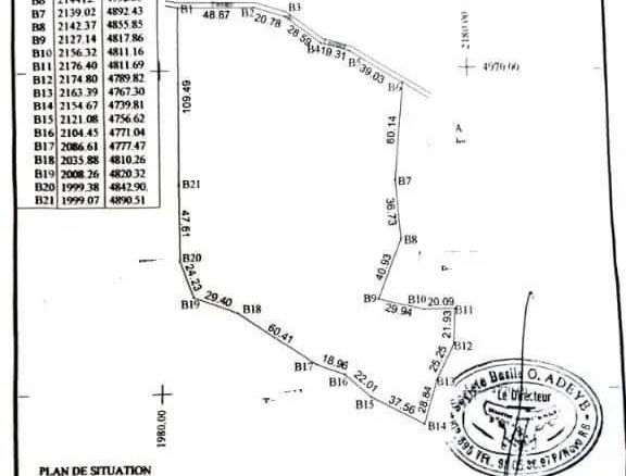 Domaine de 3 hectares à vendre à Tori Azohouè Cada
